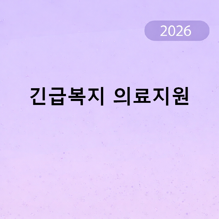 긴급복지 의료지원