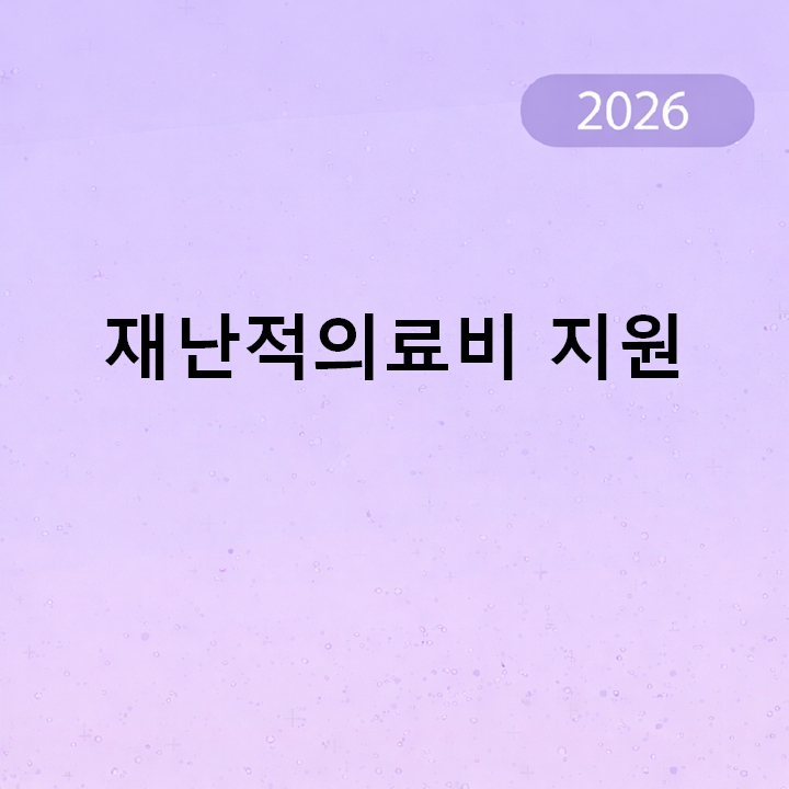 재난적의료비 지원